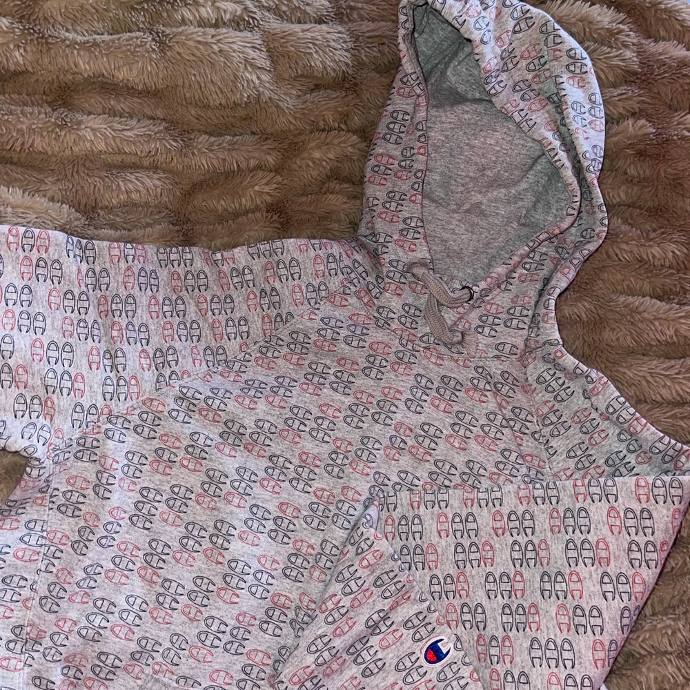 Champion hoodie